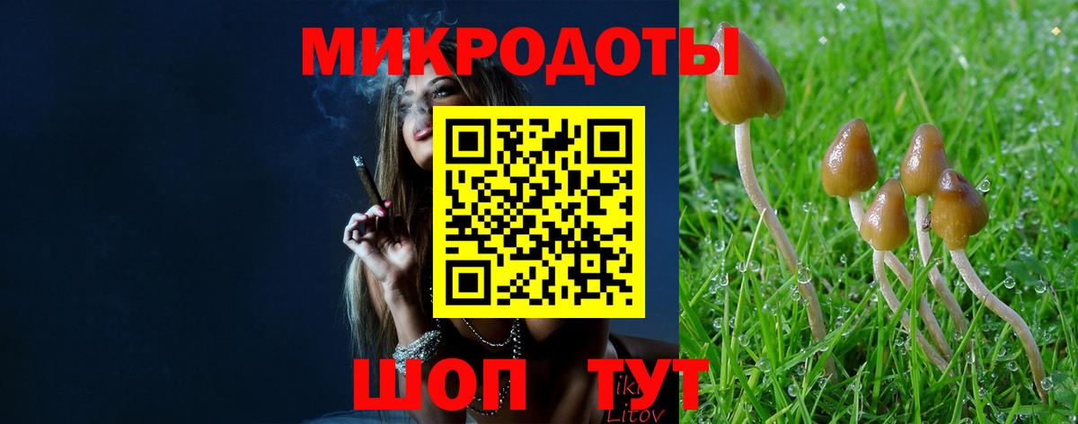 Псилоцибиновые грибы мицелий  Вход с VPN  Верхний Уфалей 